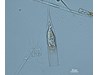 Photo of Helicostomella